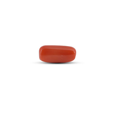 Red Coral - 6.8 Carat