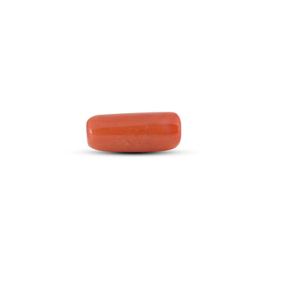 Red Coral - 7 Carat