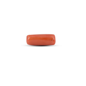 Red Coral - 7 Carat