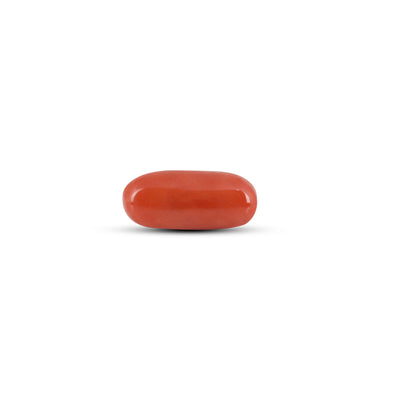 Red Coral - 6.7 Carat