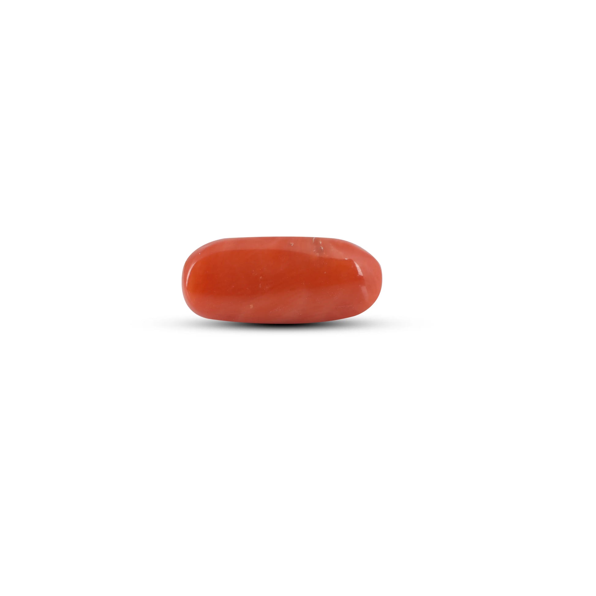 Red Coral - 6.7 Carat