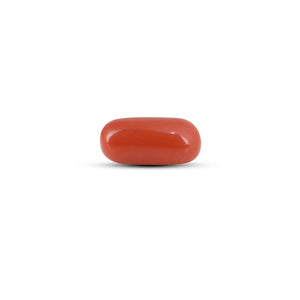 Red Coral - 6.7 Carat
