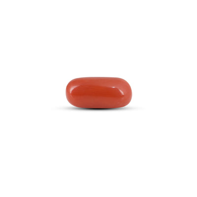 Red Coral - 6.7 Carat