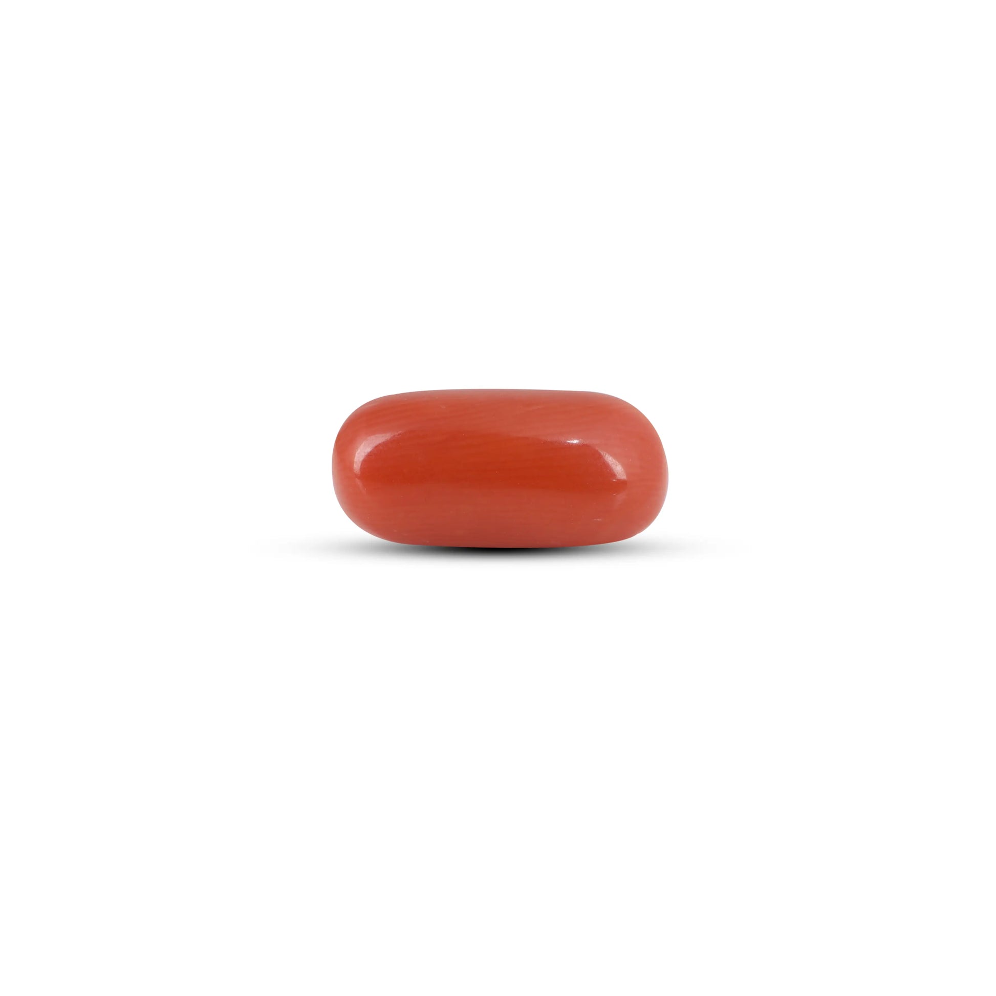 Red Coral - 6.7 Carat