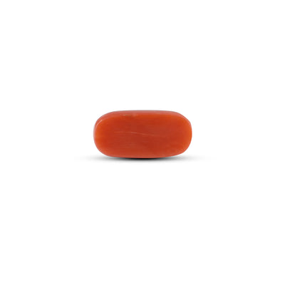 Red Coral - 6.7 Carat