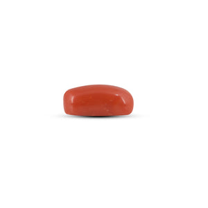 Red Coral - 6.7 Carat