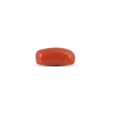 Red Coral - 6.7 Carat