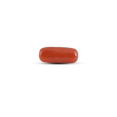 Red Coral - 7 Carat