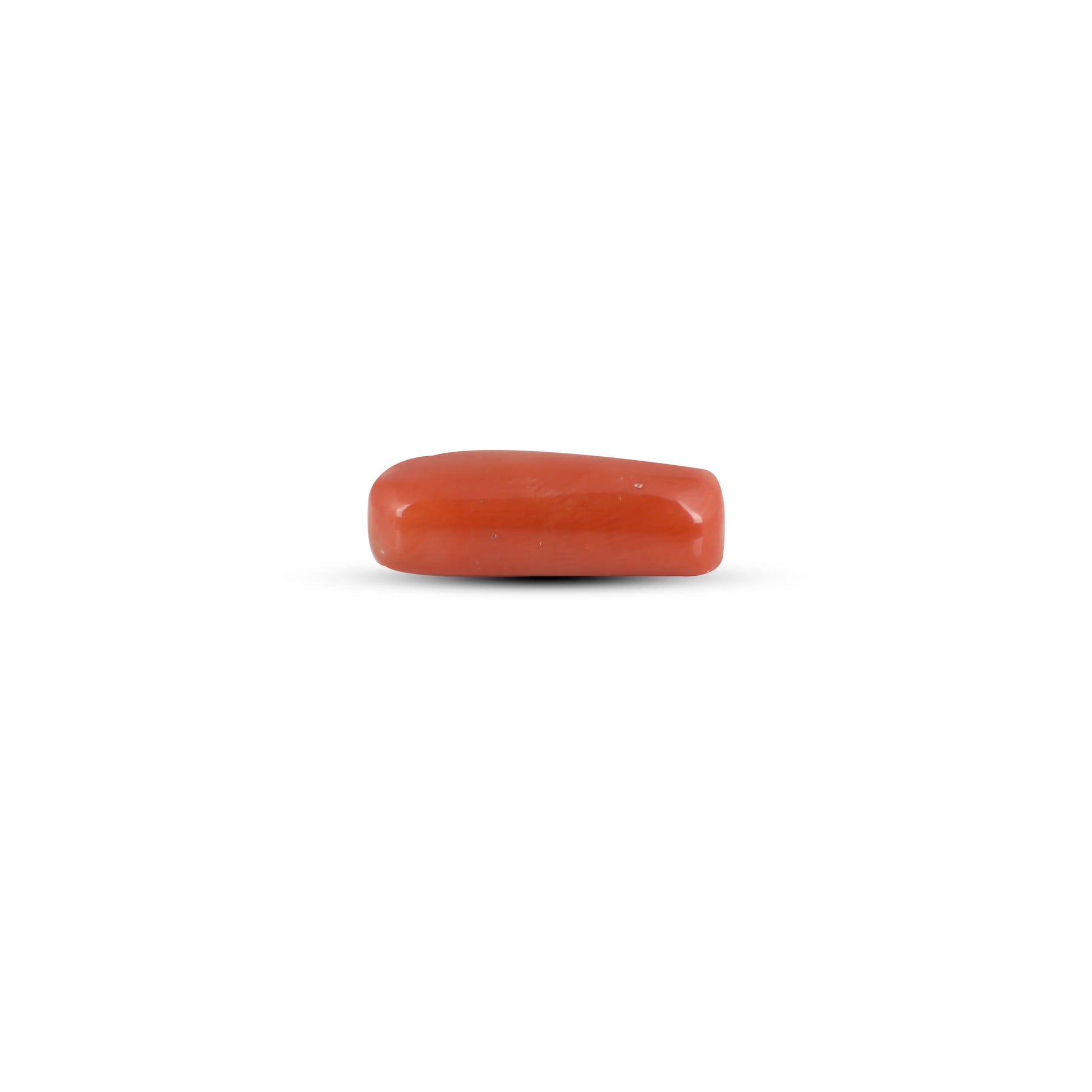 Red Coral - 7 Carat