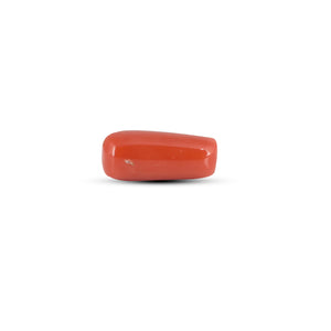 Red Coral - 6.8 Carat