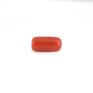 Red Coral - 6.7 Carat
