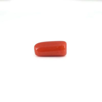 Red Coral - 6.7 Carat