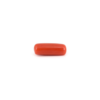 Red Coral - 7.05 Carat