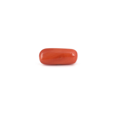 Red Coral - 6.8 Carat