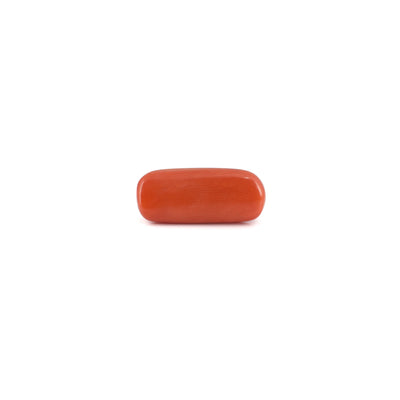 Red Coral - 6.8 Carat