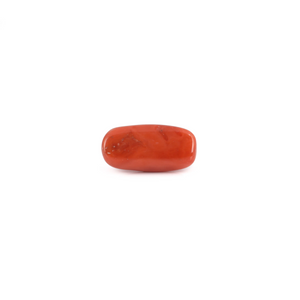 Red Coral - 6.3 Carat