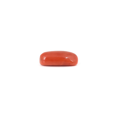 Red Coral - 6.3 Carat