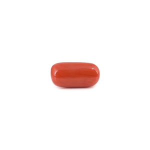 Red Coral - 6.45 Carat