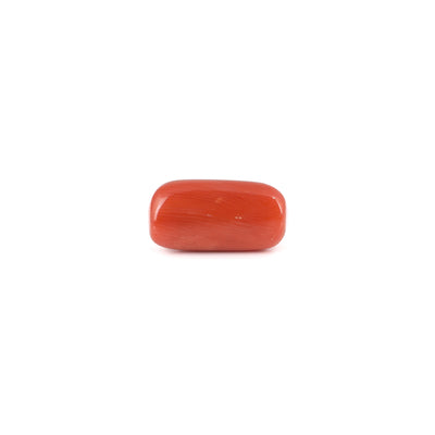 Red Coral - 6.45 Carat