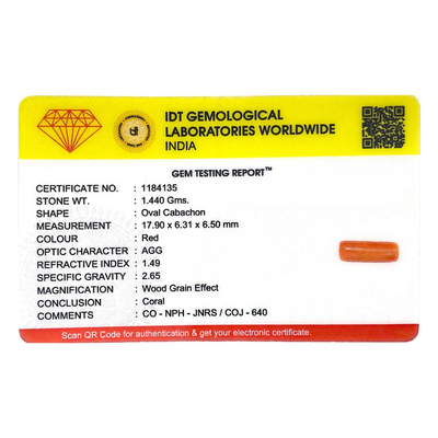 Red Coral - 7.2 Carat