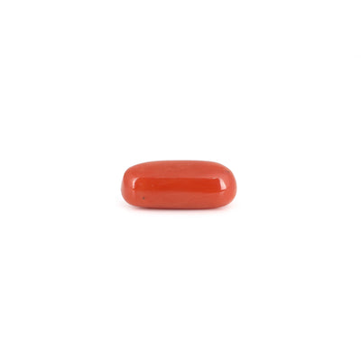 Red Coral - 6.95 Carat