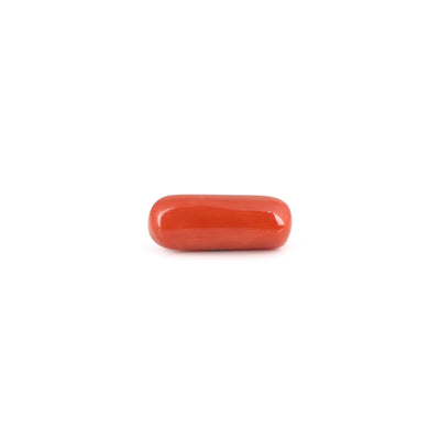 Red Coral - 6.5 Carat