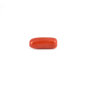 Red Coral - 6.5 Carat