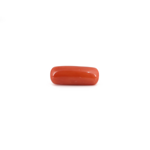 Red Coral - 7.85 Carat