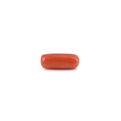 Red Coral - 6.3 Carat