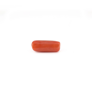 Red Coral - 6.3 Carat