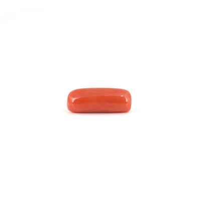 Red Coral - 6.3 Carat