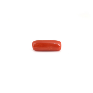 Red Coral - 7.45 Carat