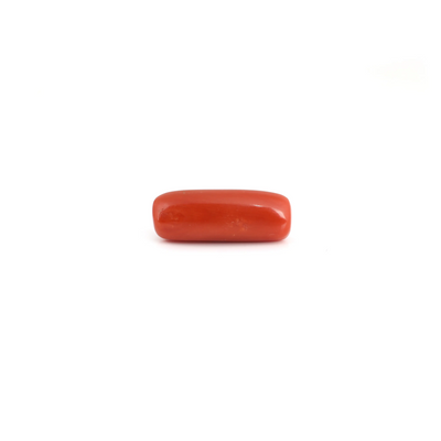 Red Coral - 7.45 Carat