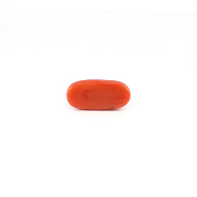 Red Coral - 7.6 Carat