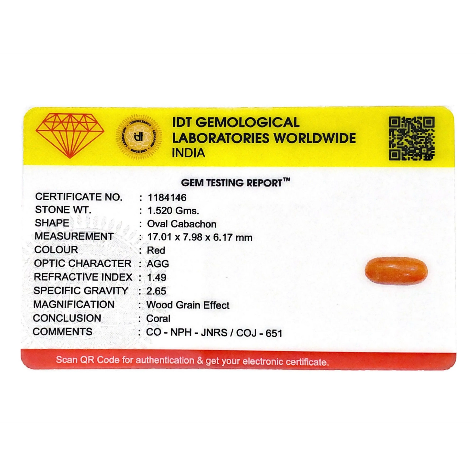 Red Coral - 7.6 Carat