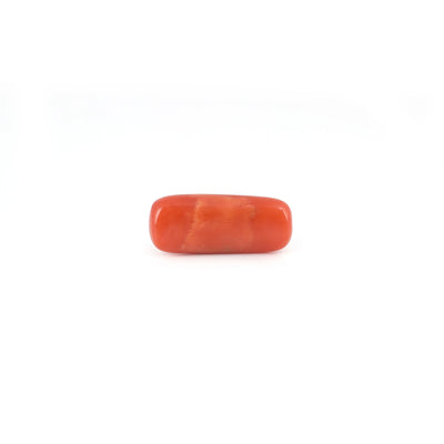 Red Coral - 6.55 Carat