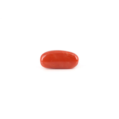 Red Coral - 6.7 Carat