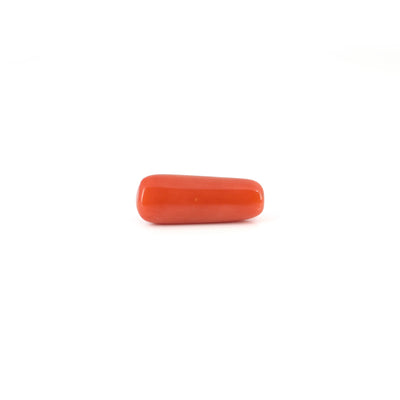 Red Coral - 6.4 Carat