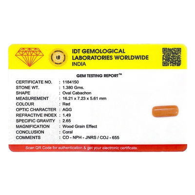 Red Coral - 6.9 Carat