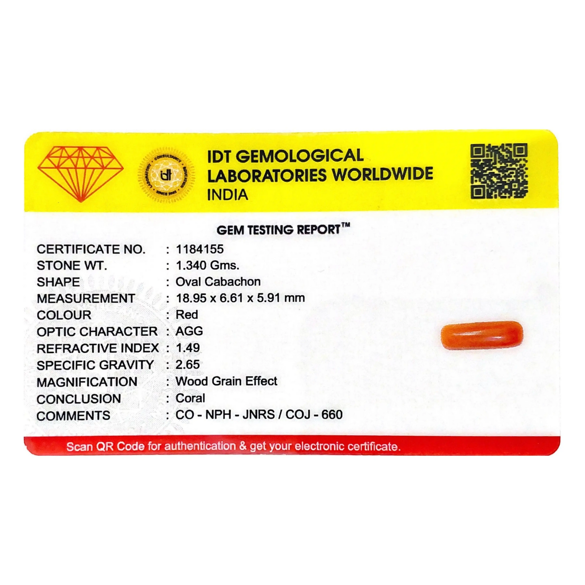 Red Coral - 6.7 Carat