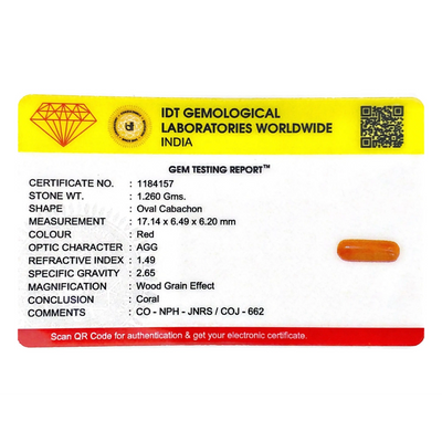Red Coral - 6.3 Carat