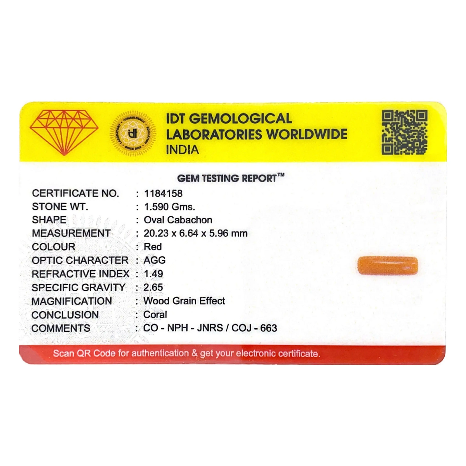 Red Coral - 7.95 Carat