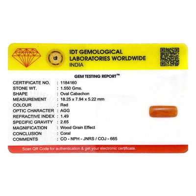 Red Coral - 7.75 Carat