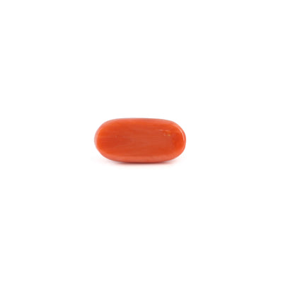Red Coral - 6.6 Carat