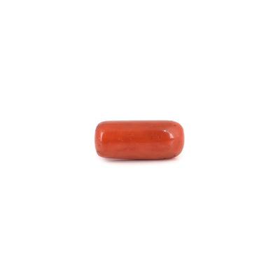 Red Coral - 8.15 Carat
