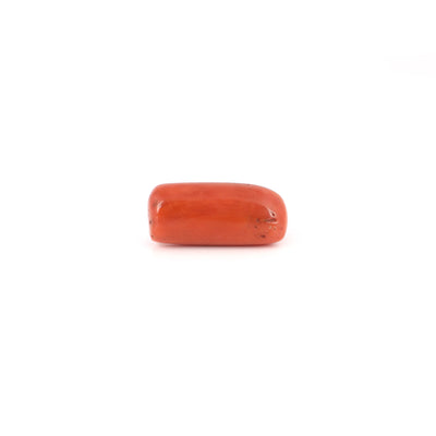 Red Coral - 8.15 Carat