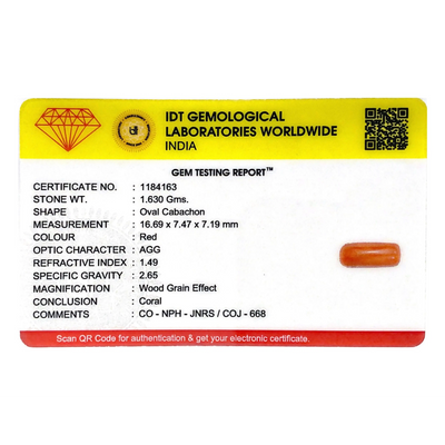 Red Coral - 8.15 Carat