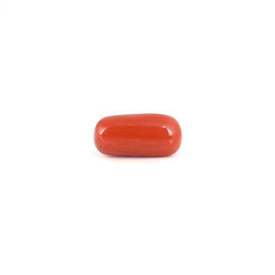 Red Coral - 6.4 Carat