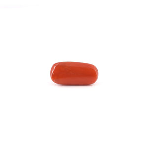 Red Coral - 6.4 Carat