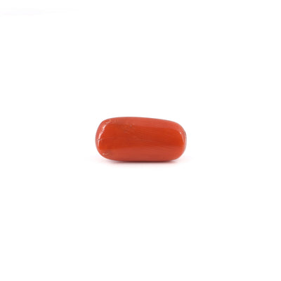Red Coral - 6.4 Carat